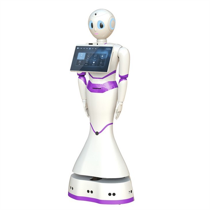 Commercial Hospital Humanoid Service Robot