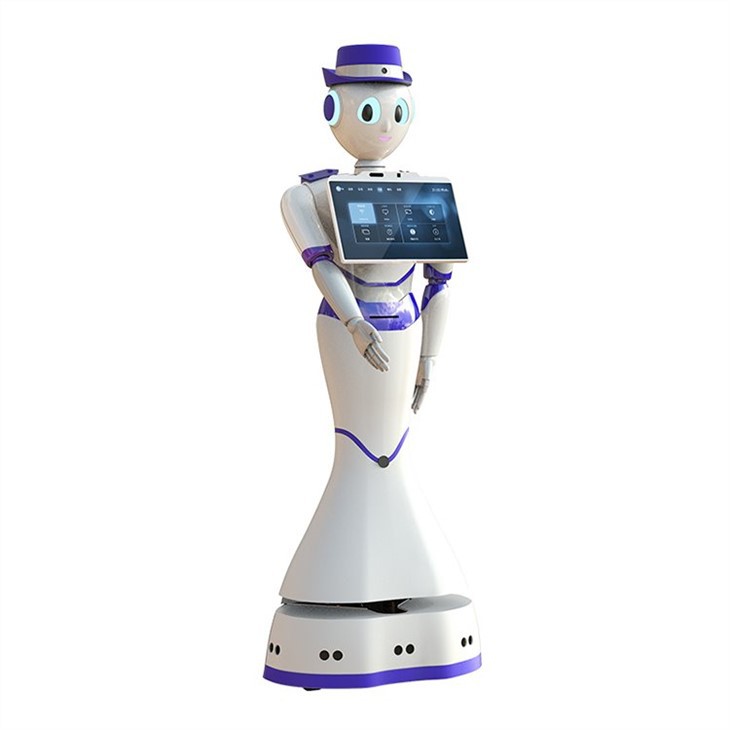 Humanoid Service Robot