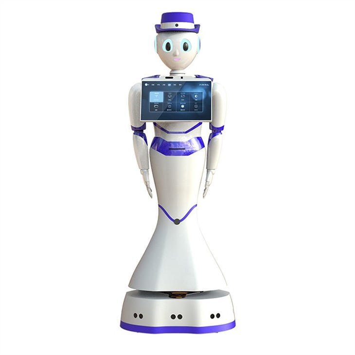 Hospital Humanoid Service Robot