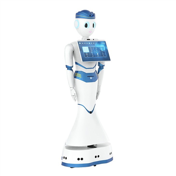 Intelligent Humanoid Service Robot