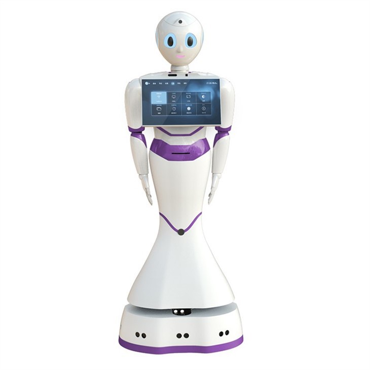 Intelligent Service Robot