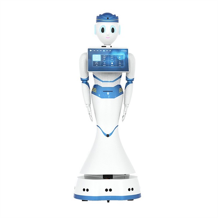 Intelligent Service Robot