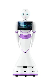 Intelligent Commercial Humanoid Service Robot