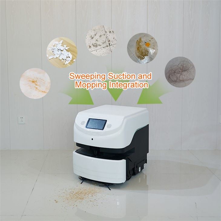 Intelligent Mopping Cleaning Robot