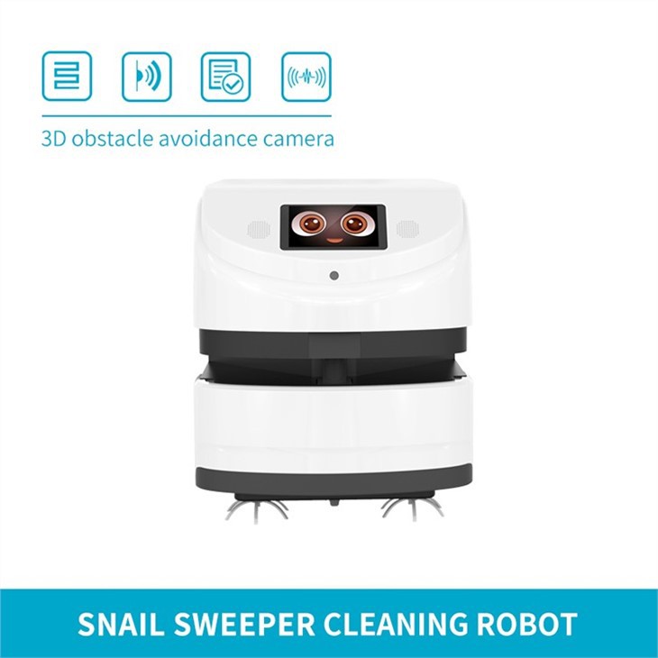 Intelligent Mopping Robot