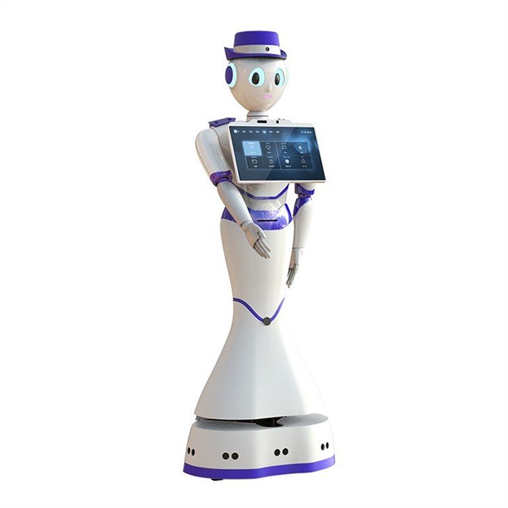 Language Interaction Service Robot