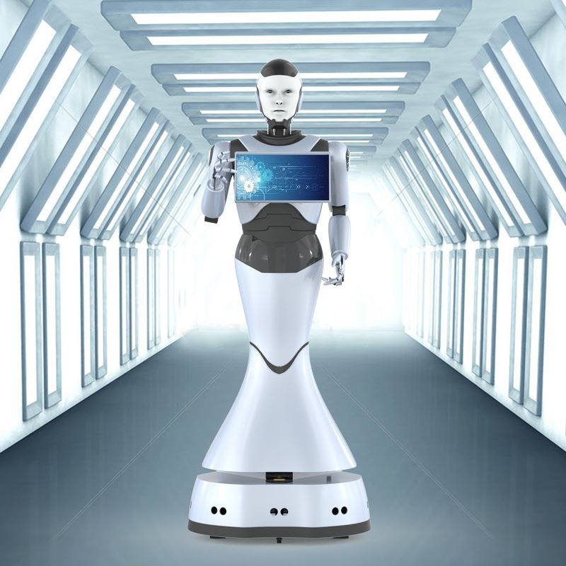 Reeman Robots Accelerate The Layout Of E-commerce Platforms