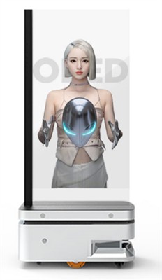 Introducing The OLED Advertising Robot: A Cutting-Edge Solution For Modern Ad...