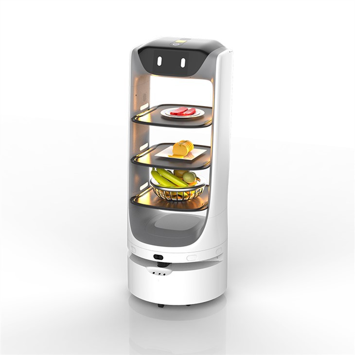 Restaurant Delivery Robot