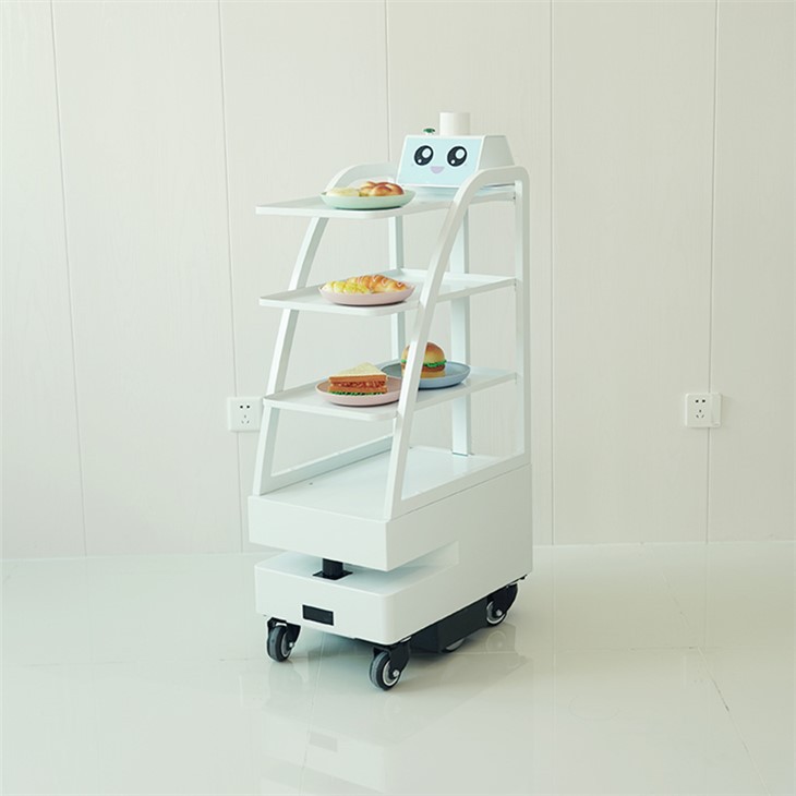 Square Bottom Delivery Robot