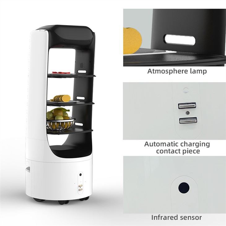 Touch Screen Delivery Robot