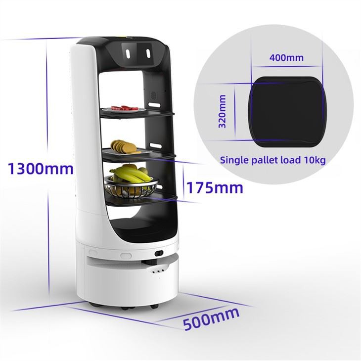 Touch Screen Delivery Robot